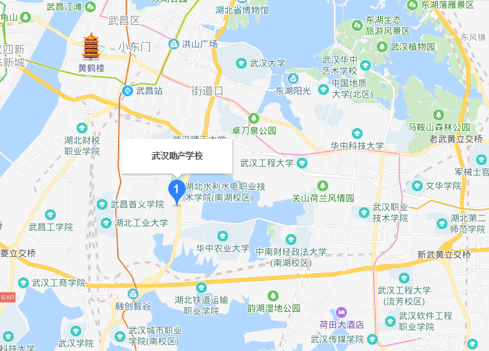 武漢助產學校地址在哪里