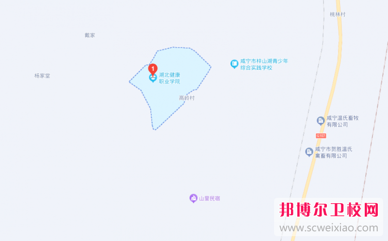 湖北健康職業學院地址在哪里，哪個地區，哪個城市?