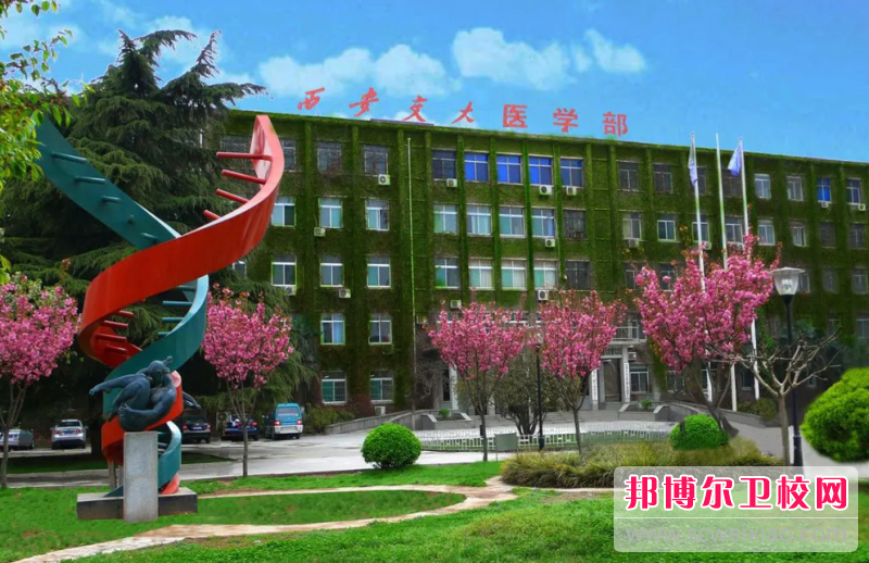 2023西安交通大學醫學院有哪些專業 西安交通大學醫學院開設的專業一覽表